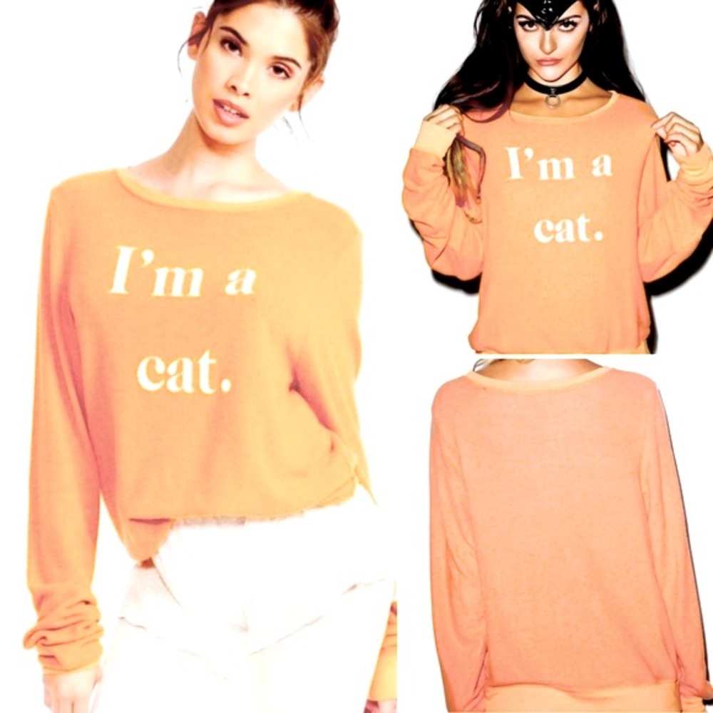 Wildfox I’m a Cat Baggy Beach Jumper in Orange Size Small